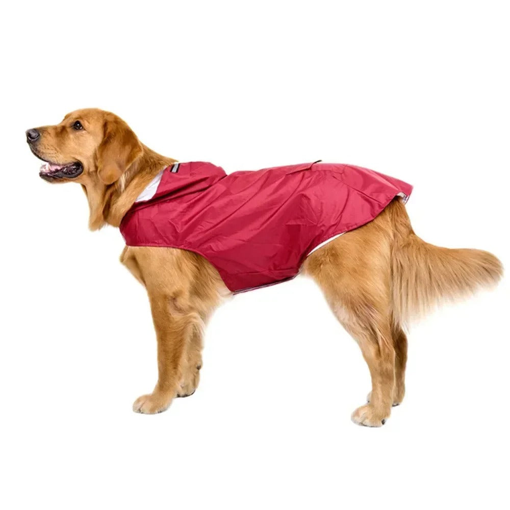 Suministros para mascotas: impermeable