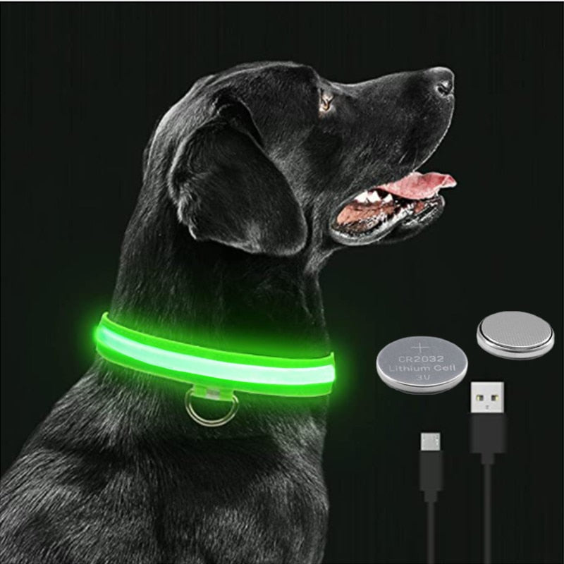 Collar para perro ajustable con luz LED